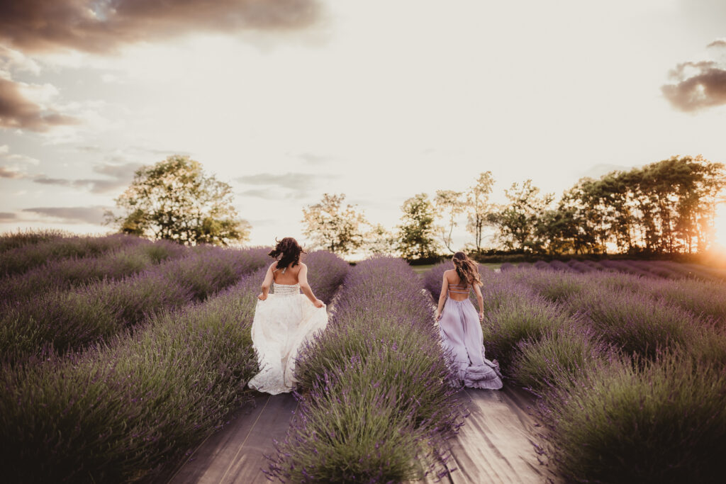 teenage girls running away through fields of lavender as the sun sets